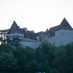 Chateau De Dom wakacyjny Goudourville